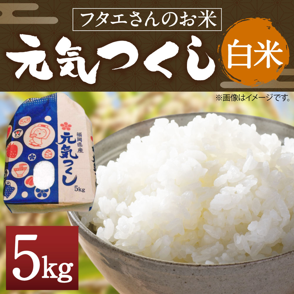 【ふるさと納税】フタエさんのお米 元気つくし 白米 5kg 米 お米 精米 うるち米 福岡県産 九州産 送料無料