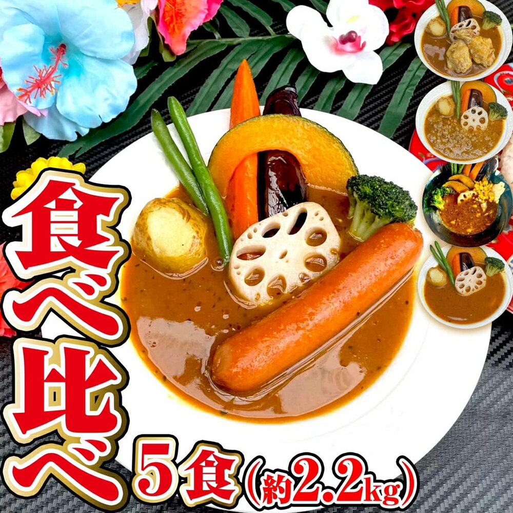 20位! 口コミ数「0件」評価「0」冷凍スープカレー 食べ比べ 5食セット 合計2.15kg 5パック カレー スープカレー 具材入り セット 詰め合わせ 惣菜 グルメ 冷凍 ･･･ 