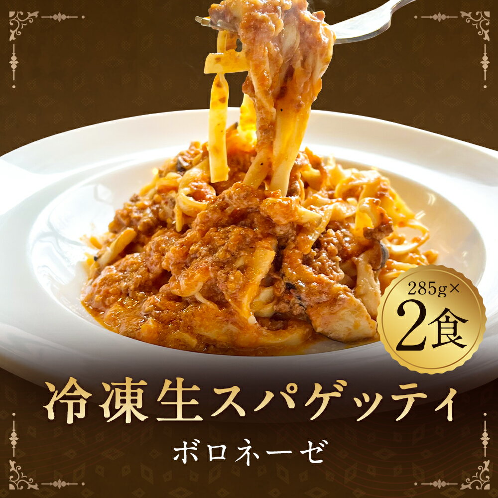 【ふるさと納税】冷凍生スパゲッティ ボロネーゼ 285g×2食 合計570g 2人前 粉チーズ付き ミートソース パスタ 冷凍パスタ スパゲティ イタリアン 冷凍 送料無料 2