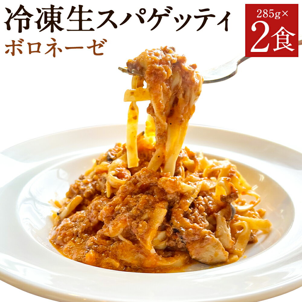 【ふるさと納税】冷凍生スパゲッティ ボロネーゼ 285g×2食 合計570g 2人前 粉チーズ付き ミートソース パスタ 冷凍パスタ スパゲティ イタリアン 冷凍 送料無料