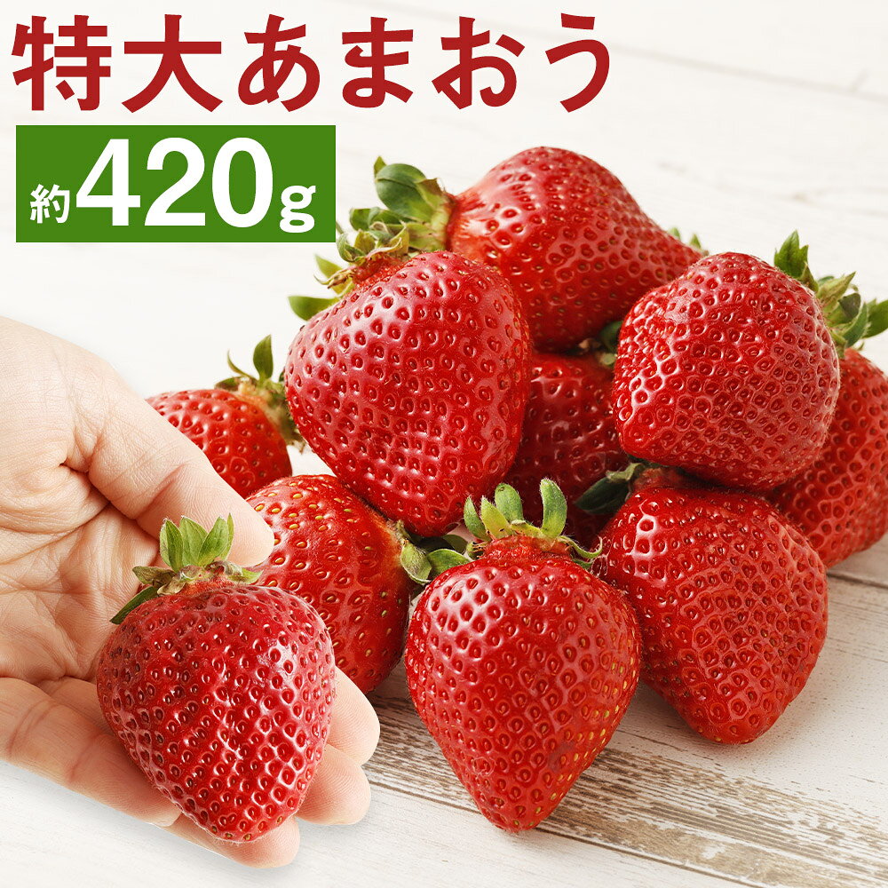 厳選特大あまおう 約420g 9玉～15玉入 いちご 果物 フルーツ 苺 あまおう 特大 福岡県産 九州産 送料無料【2025年1月上旬～3月下旬に順次発送予定】