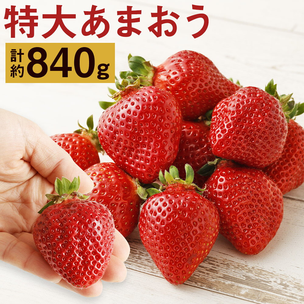 厳選特大あまおう 合計約840g 420g×2箱 9玉～15玉入×2箱 いちご 果物 フルーツ 苺 あまおう 特大 福岡県産 九州産 送料無料【2025年1月上旬～3月下旬に順次発送予定】
