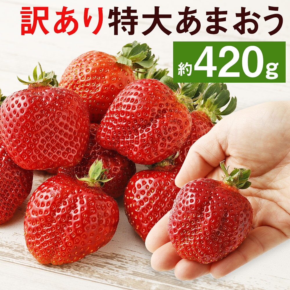 訳あり 特大あまおう 約420g 9玉～15玉入 いちご 果物 フルーツ 苺 あまおう 特大 ご家庭用 福岡県産 九州産 送料無料【2025年1月上旬～3月下旬に順次発送予定】