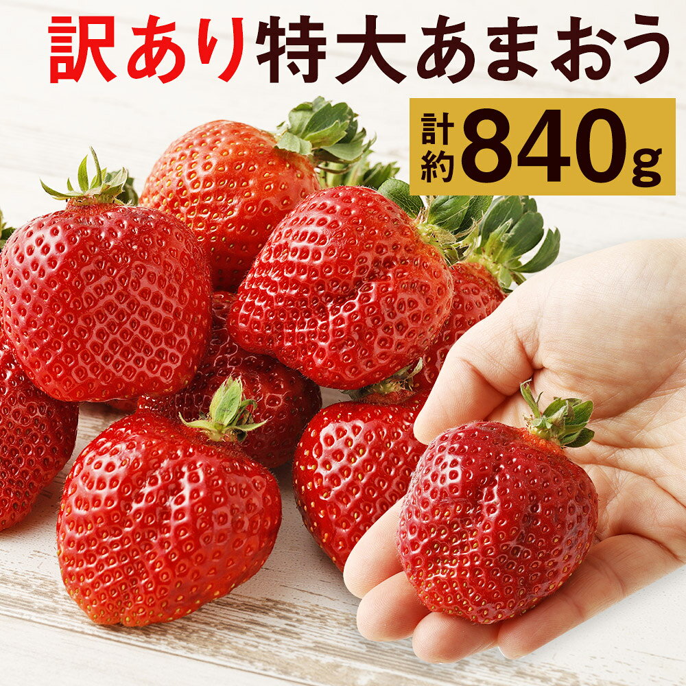 訳あり 特大あまおう 合計約840g 420g×2箱 9玉～15玉入×2箱 いちご 果物 フルーツ 苺 あまおう 特大 ご家庭用 福岡県産 九州産 送料無料【2025年1月上旬～3月下旬に順次発送予定】