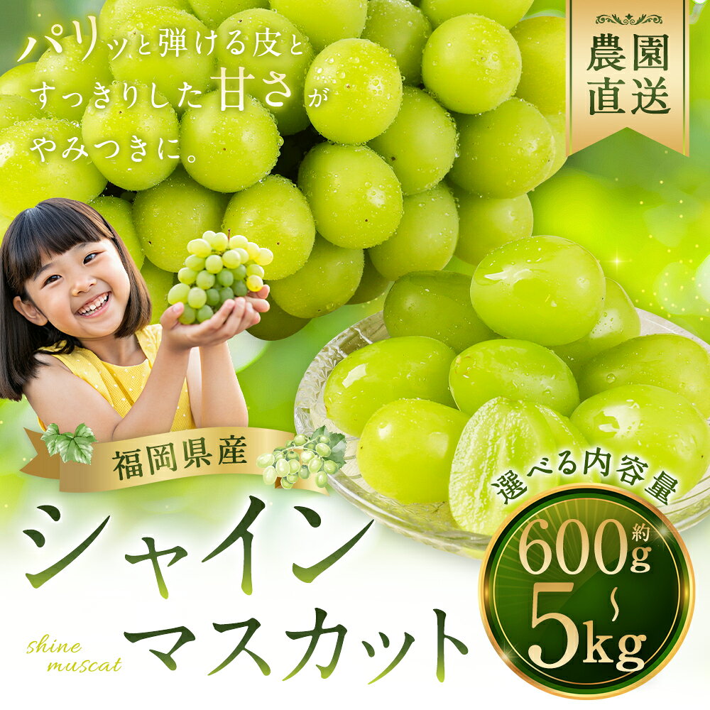 【ふるさと納税】＜選べる配送月・内容量＞農園直送！シャインマスカット 約600g～計約5kg 1房～10房 シャインマスカット マスカット ぶどう ブドウ 葡萄 フルーツ くだもの 果物 果実 デザート 冷蔵 福岡県産 国産 福岡県 筑後市 送料無料 【2026年10月上旬頃迄発送予定】