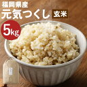 福岡県産 元気つくし 玄米 5kg お米 九州産 栽培期間中肥料・農薬・除草剤不使用 送料無料