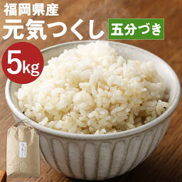 【ふるさと納税】福岡県産 元気つくし 五分づき 5kg お米 九州産 分づき米 5分精米 栽培期間中肥料・農薬・除草剤不使用 送料無料