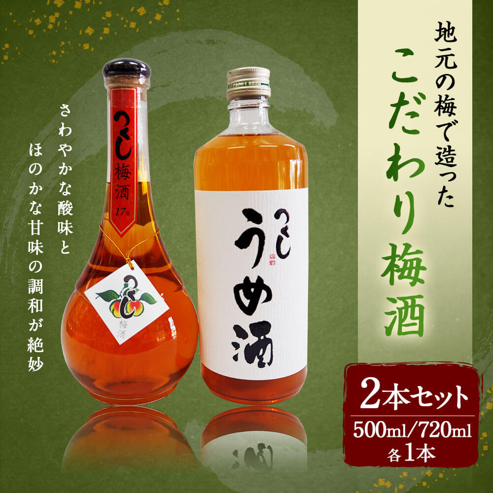 【ふるさと納税】こだわり梅酒 2本セット 720ml×1本 500ml×1本 合計1220ml 17度 12度 つくし 梅酒 うめ酒 飲み比べ お酒 アルコール 九州 福岡県 筑後市 送料無料