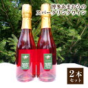 5位! 口コミ数「0件」評価「0」博多あまおうのスパークリングワイン 375ml×2本 ワイン 苺 イチゴワイン お酒 スパークリングワイン フルーツワイン 送料無料