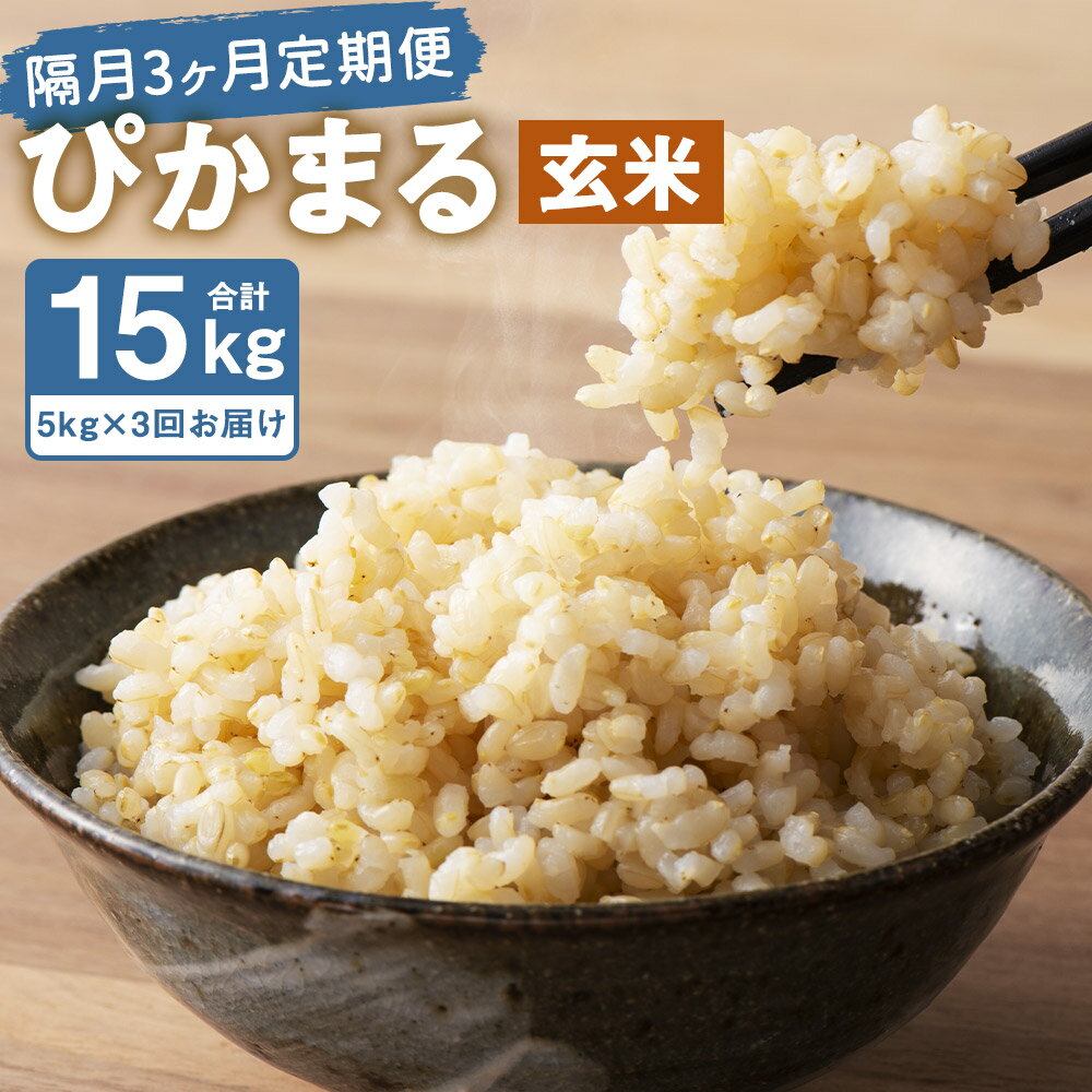 [隔月3ヶ月定期便][新米先行予約]低アミロース米 ぴかまる 5kg×3回お届け 合計15kg 玄米 保存袋付き お米 栽培期間中無農薬 九州産 福岡県産 送料無料[2025年11月上旬より順次発送予定]