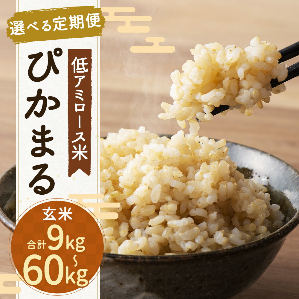 【ふるさと納税】【選べる定期便】【新米先行予約】低アミロース米 ぴかまる 玄米 3kg/5kg 3ヶ月定期便/6ヶ月定期便/12ヶ月定期便 選べる内容量 保存袋付き お米 栽培期間中無農薬 九州産 福岡県産 送料無料【2026年11月上旬より順次発送開始予定】