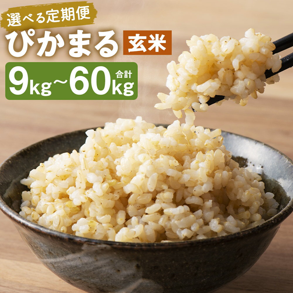 [選べる定期便][新米先行予約]低アミロース米 ぴかまる 玄米 3kg/5kg 3ヶ月定期便/6ヶ月定期便/12ヶ月定期便 選べる内容量 保存袋付き お米 栽培期間中無農薬 九州産 福岡県産 送料無料[2025年11月上旬より順次発送予定]