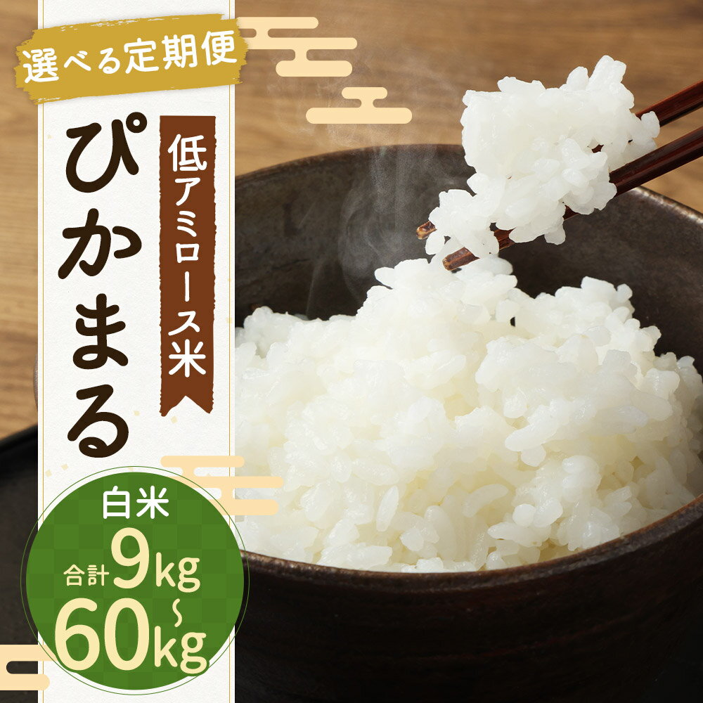 【ふるさと納税】【選べる定期便】【新米先行予約】低アミロース米 ぴかまる 白米 3kg/5kg 3ヶ月定期便/6ヶ月定期便/12ヶ月定期便 選べる内容量 保存袋付き 栽培期間中無農薬 九州産 福岡県産 送料無料【2026年11月上旬より順次発送開始予定】