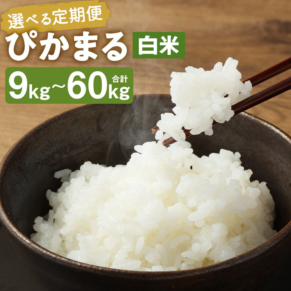 [選べる定期便][新米先行予約]低アミロース米 ぴかまる 白米 3kg/5kg 3ヶ月定期便/6ヶ月定期便/12ヶ月定期便 選べる内容量 保存袋付き お米 精米 栽培期間中無農薬 九州産 福岡県産 送料無料[2025年11月上旬より順次発送予定]