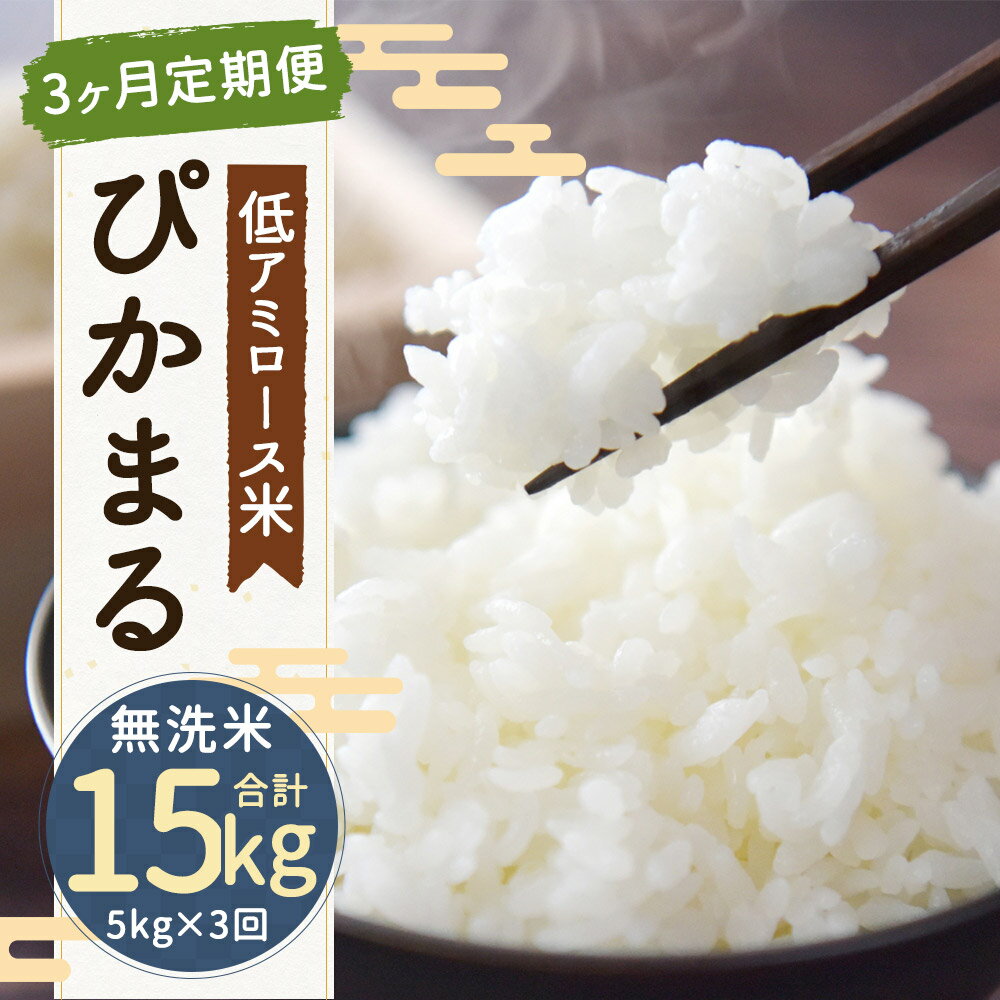 【ふるさと納税】【3ヶ月定期便】低アミロース米 ぴかまる 5kg×3回お届け 合計15kg 無洗米 保存袋付き お米 精米 栽培期間中無農薬 九州産 福岡県産 送料無料