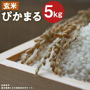 5位! 口コミ数「9件」評価「3.78」低アミロース米 ぴかまる 5kg 玄米 保存袋付き お米 栽培期間中無農薬 九州産 福岡県産 送料無料