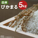 【ふるさと納税】低アミロース米 ぴかまる 5kg 白米 保存