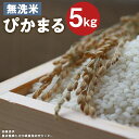 4位! 口コミ数「10件」評価「3.9」低アミロース米 ぴかまる 5kg 無洗米 保存袋付き お米 精米 栽培期間中無農薬 九州産 福岡県産 送料無料