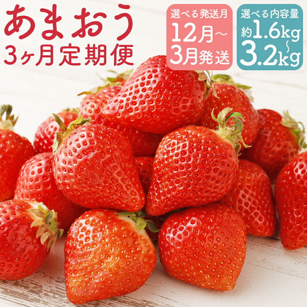 【ふるさと納税】【選べる発送月】【3回定期便】福岡県産 あまおう 合計約1.6kg/合計約3.2kg 選べる内...