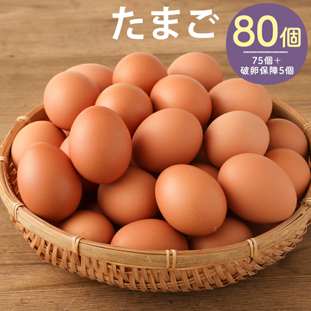 【ふるさと納税】王様の大好物 たまご 80個(75個＋破卵保障5個) 卵 鶏卵 筑後市 福岡県 冷蔵 送料無料