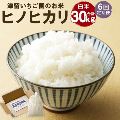 【6回定期便】ひのひかり 白米 5kg×6回お届け 合計30kg 6ヶ月定期便 精米 お米 ヒノヒカリ 栽培期間中無農薬 九州産 福岡県産 送料無料