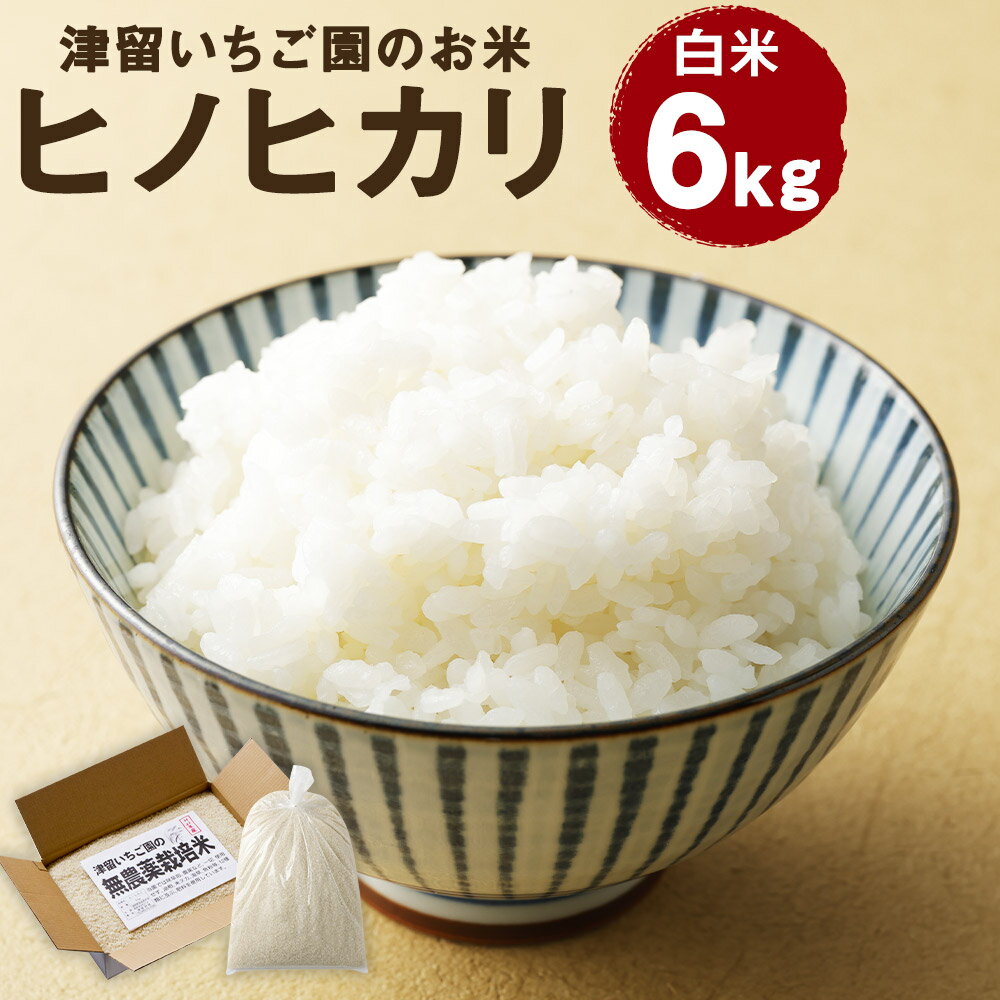 米 無洗米 12kg ヒノヒカリ 白米 令和3年産 送料無料| ふるさと納税バイブル