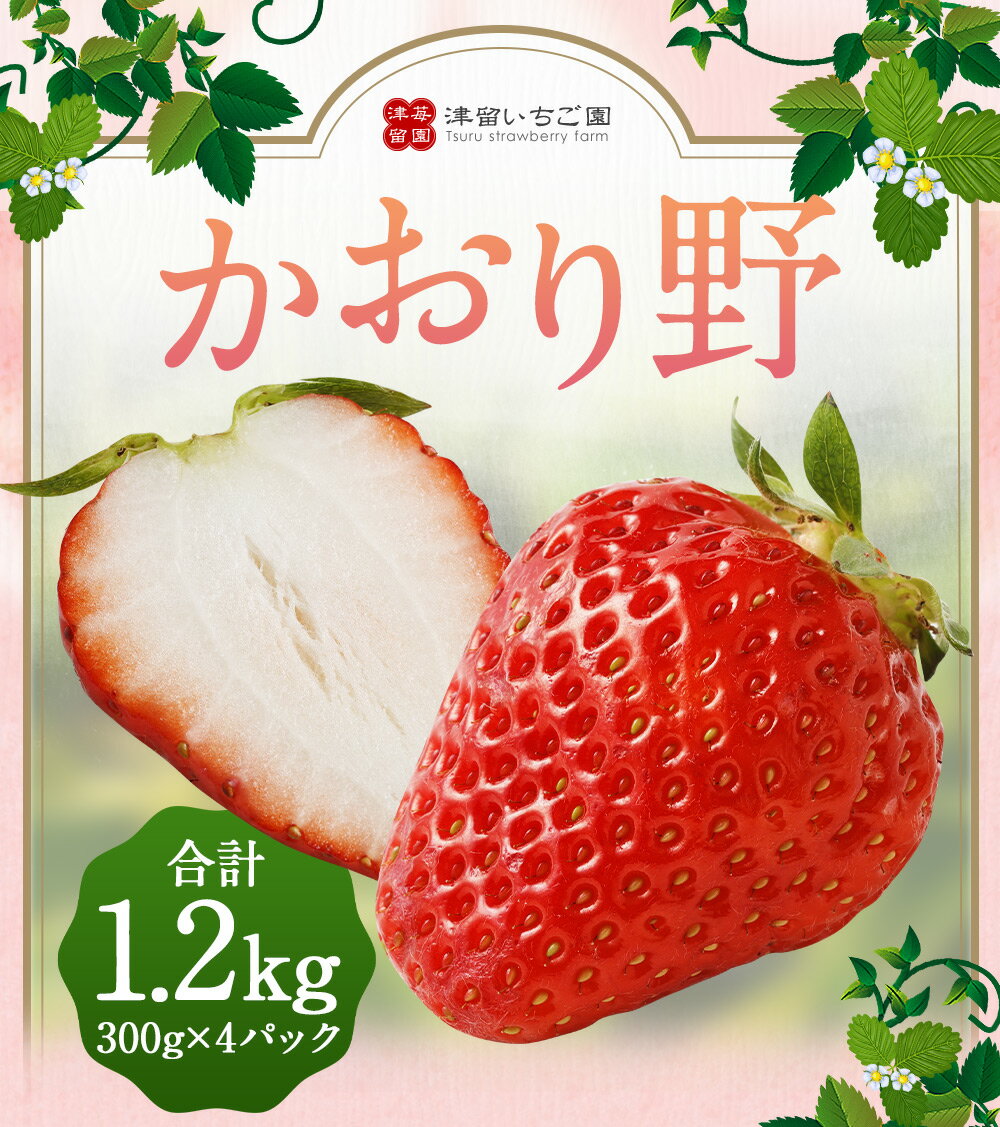 【ふるさと納税】いちご かおり野 プレミアム 約300g×4パック 合計約1.2kg 苺 果物 フルーツ 福岡県産 九州産 送料無料【2024年3月下旬～4月下旬の間に順次発送予定】