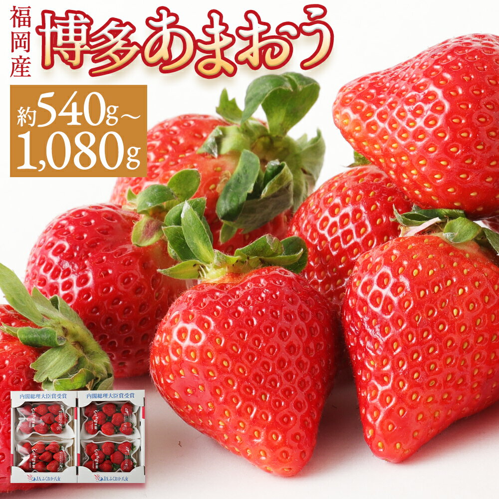 【ふるさと納税】いちご あまおう 約540g(約270g×2パック)/約1kg(約270g×4パック) 選べる内容量 イチゴ 苺 果物 くだ…