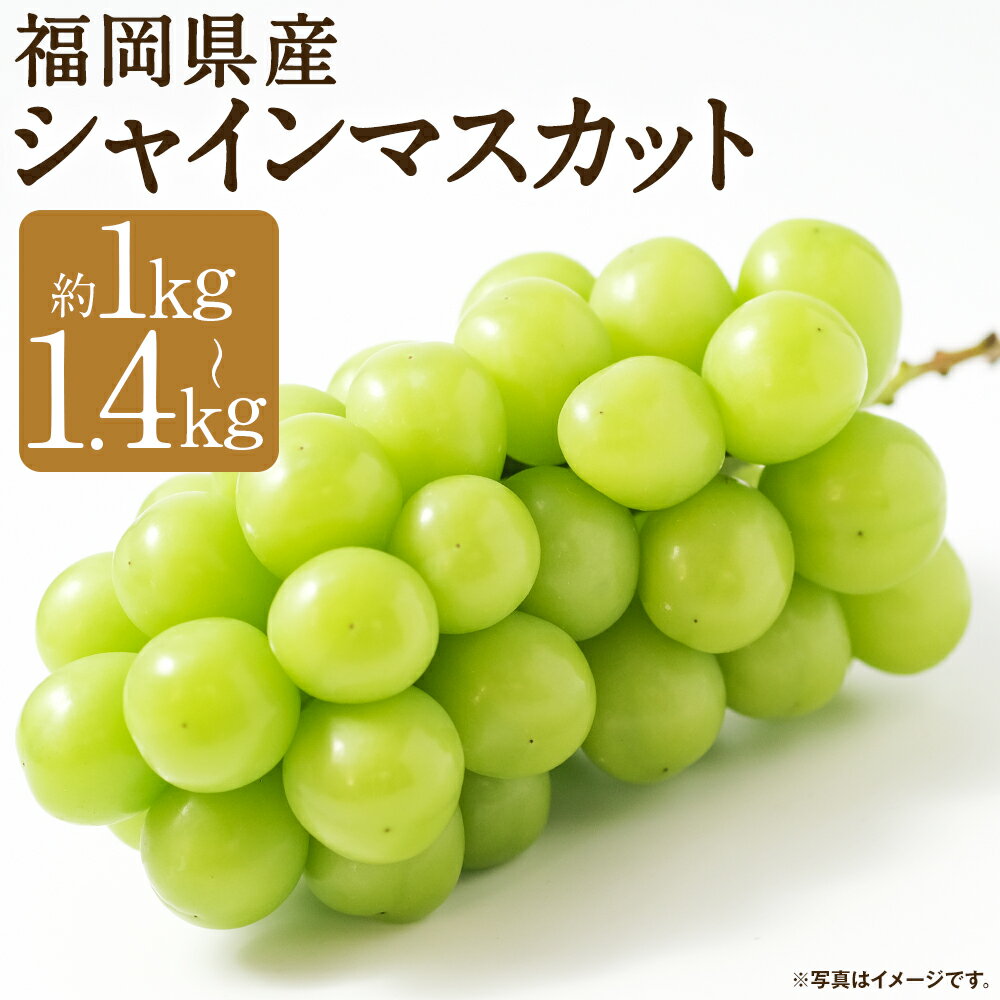 【ふるさと納税】先行予約 福岡県産 シャインマスカット約1kg/約1.4kg 選べる内容量 1パック約350g 産地直送 ぶどう 産地直送 約1kg 筑後市 果物 フルーツ 九州産 冷蔵 送料無料 【2025年8月上旬~9月下旬に順次発送予定】