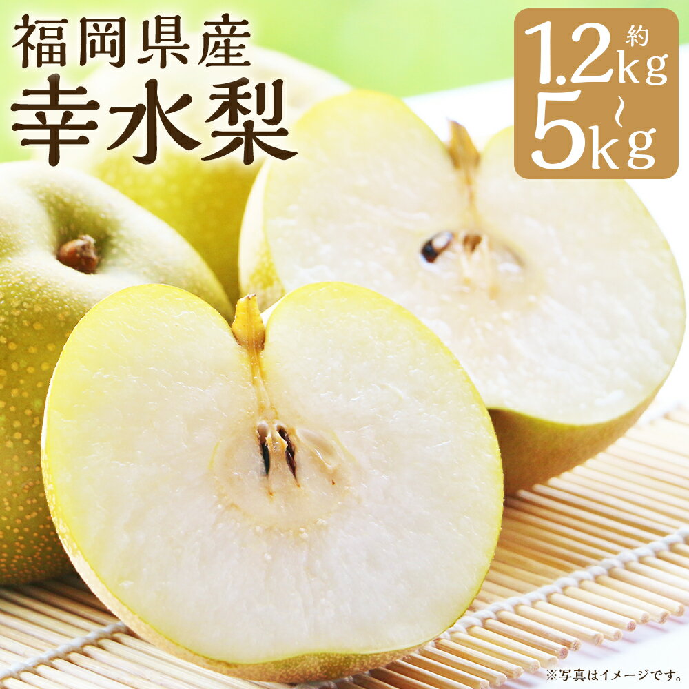 【ふるさと納税】幸水梨 約1.2kg~1.5kg/約3kg/約5kg 選べる内容量 梨 幸水 筑後市産 福岡県産 九州 和梨 フルーツ 果物 送料無料 【2026年7月下旬から8月下旬に順次発送予定】
