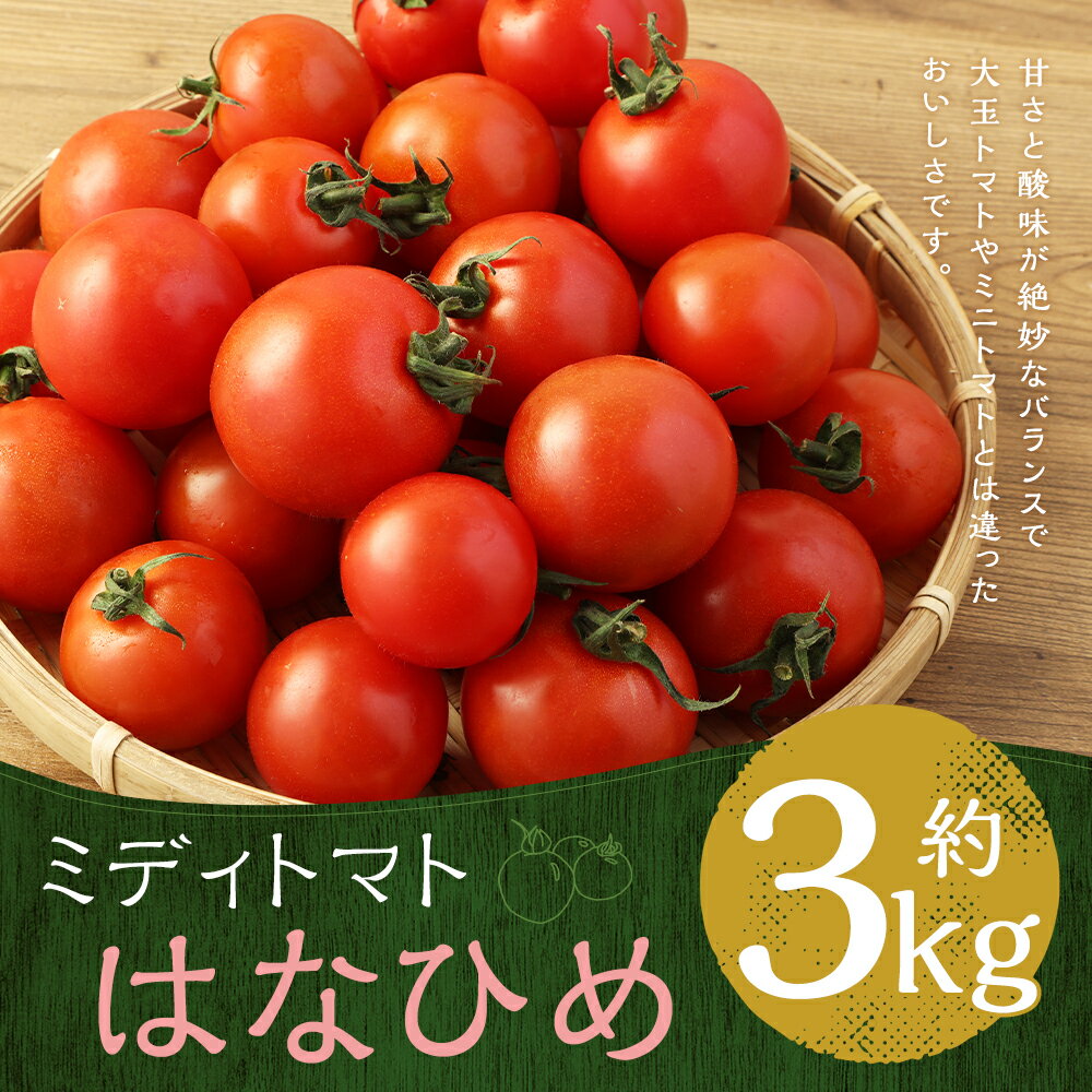 【ふるさと納税】ミディトマト はなひめ 約3kg フルティカ 中玉 トマト 野菜 JAオリジナルブランド 福岡県産 九州産 送料無料