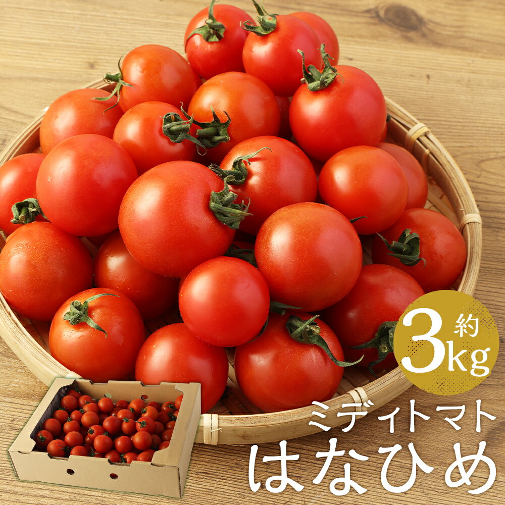 13位! 口コミ数「0件」評価「0」ミディトマト はなひめ 約3kg フルティカ 中玉 トマト 野菜 JAオリジナルブランド 福岡県産 九州産 送料無料