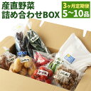 【ふるさと納税】【3ヶ月定期便】産直野菜詰め合わせBOX 5