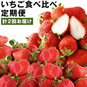 【ふるさと納税】【計2回定期便】数量限定 いちご食べ比べ定期便 あまおう かおり野 2回お届け イチゴ 苺 果物 くだものフルーツ 送料無料【2025年1月上旬より順次発送予定】