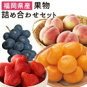 19位! 口コミ数「133件」評価「4.72」今が旬な地元産の果物詰め合わせセット おまかせ ランダム フルーツ 果物 詰め合わせ セット 季節の果物 冷蔵 送料無料