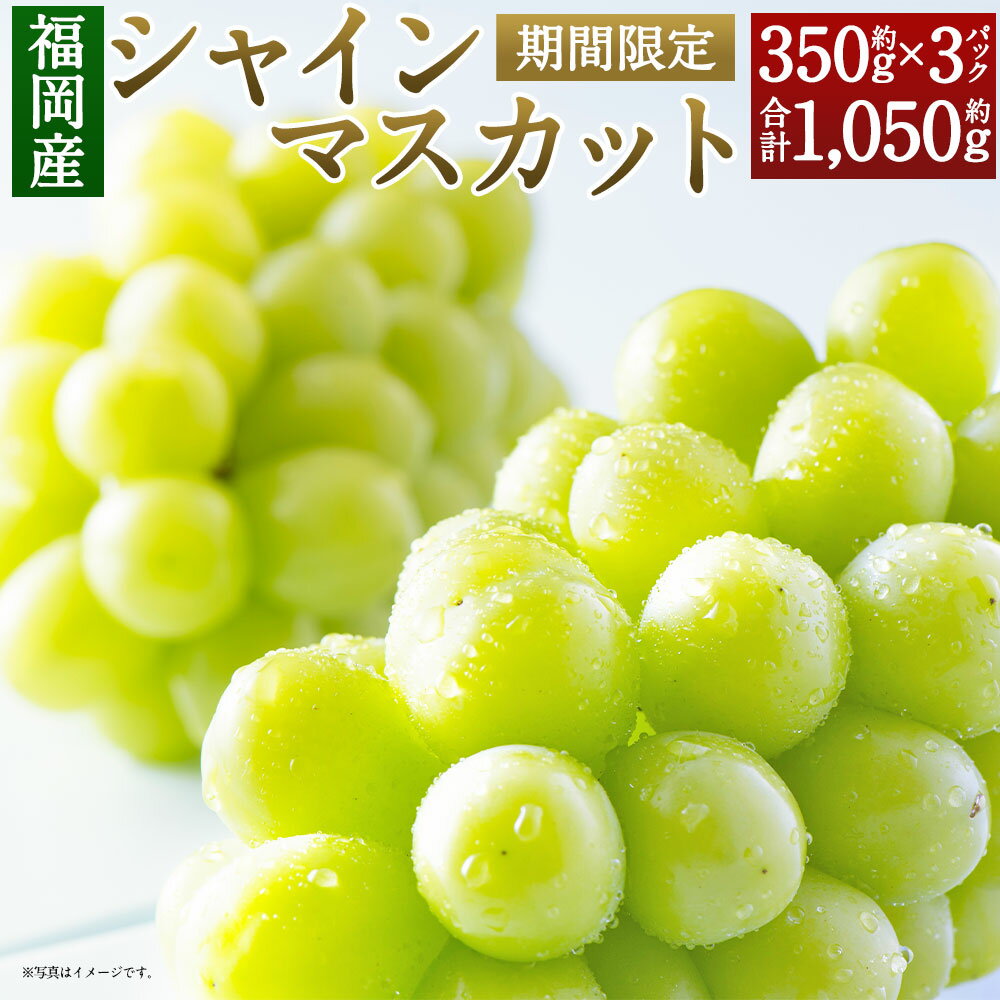 【ふるさと納税】先行予約 福岡県産 シャインマスカット合計約1,050g 約350g×3パック 産地直送 ぶどう 産地直送 約1kg 筑後市 果物 フルーツ 九州産 冷蔵 送料無料 【2024年8月上旬～9月下旬に順次発送予定】