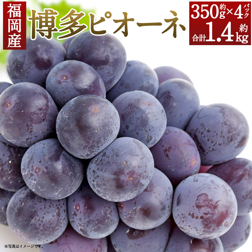 15位! 口コミ数「7件」評価「4.14」福岡県産 博多ピオーネ 合計約1.4kg 約350g×4パック ぶどう ピオーネ 種なし 産地直送 筑後市 果物 フルーツ 九州産 冷蔵 送･･･ 