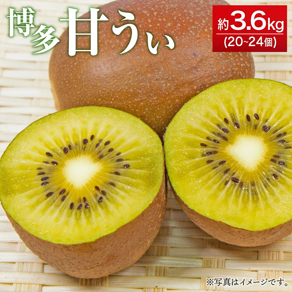 20位! 口コミ数「4件」評価「4」博多甘うぃ 約3.6kg 20〜24玉 キウイ フルーツ 果物 福岡ブランド 福岡県産 九州産 国産 送料無料【2024年10月下旬～11月･･･ 