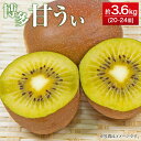 16位! 口コミ数「4件」評価「4」博多甘うぃ 約3.6kg 20〜24玉 キウイ フルーツ 果物 福岡ブランド 福岡県産 九州産 国産 送料無料【2024年10月下旬～11月･･･ 