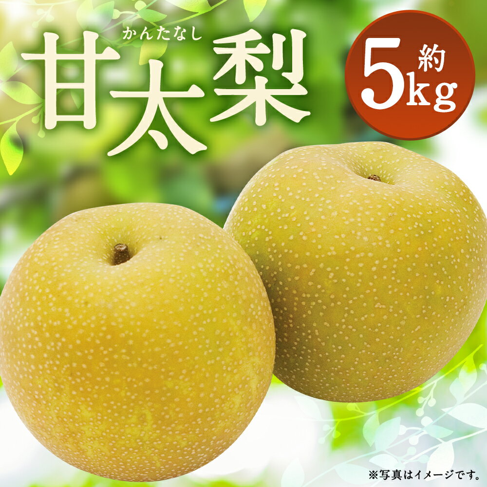 【ふるさと納税】甘太梨 約5kg 9～12玉 梨 筑後市産 福岡県産 九州 和梨 フルーツ 果物 送料無料 【2024年9月上旬～9月下旬に順次発送予定】