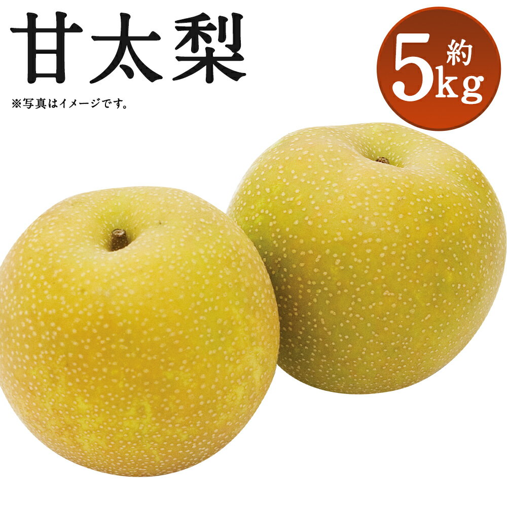 甘太梨 約5kg 9〜12玉 梨 筑後市産 福岡県産 九州 和梨 フルーツ 果物 送料無料 [2024年9月上旬〜9月下旬に順次発送予定]