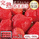 【ふるさと納税】【今期発送の受付は2025年4月27日(日)まで】 産直だからできる超完熟! 武下さんちの「完熟あまおう」 3Lサイズ【450g・900g】 い...