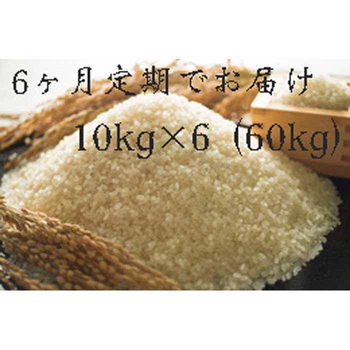 【ふるさと納税】全6回定期便 福岡県大川市産ヒノヒカリ(2025年秋収穫のお米)10kg×6回 | 米 お米 こめ 白米 精米 60キロ 食品 ライス 令和5年...