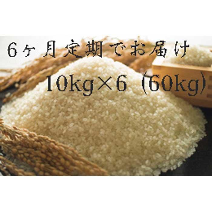 定期便　福岡県大川市産ヒノヒカリ（2022年秋収穫のお米）10キロ×6回 定期コース（全6回のお届け） | お米 こめ 白米 食品 人気 おすすめ 福岡県 大川市 ブランド米 送料無料