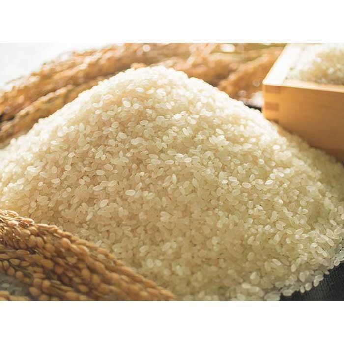 【ふるさと納税】全12回定期便 福岡県大川市産ヒノヒカリ(2025年秋収穫のお米)10kg×12回 | 米 お米 こめ 白米 精米 120キロ 食品 ライス 令...