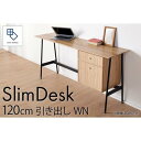 【ふるさと納税】【slim desk／スリムデスク 幅120cm 引き出しタイプ ウォールナット】★奥行39cmでお部屋の余白に置きやすい現代のインテリアにフィットするサイズ感。 | 家具 ファニチャー 人気 おすすめ 送料無料