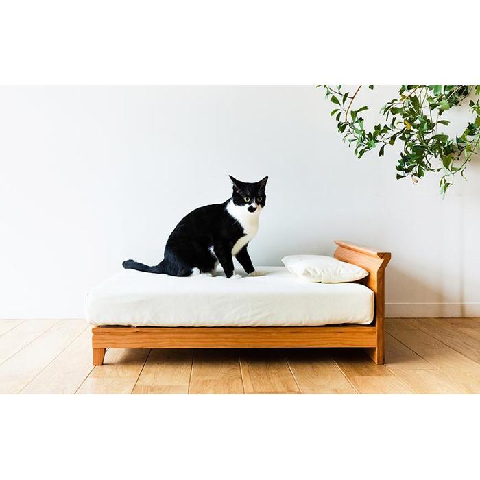 【ふるさと納税】【RONRONNER】Raffine ネコベッド & ナイトテーブル(ブラックチェリー) | 家具 ファニチャー 人気 おすすめ 送料無料