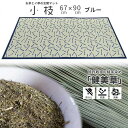 【ふるさと納税】い草玄関マット DX小枝 ブルー 67×90