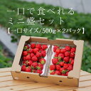 【ふるさと納税】【今期発送の受付は2025年4月27日(日)まで】★たっぷり1000g!★ミニサイズの「完熟あまおう」セット | 取り寄せ お取り寄せ グルメ ...