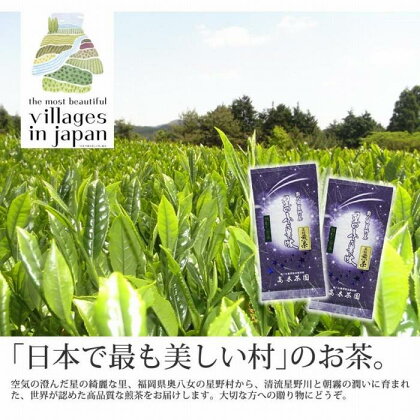 【定期便6回コース】奥八女星野村 深蒸し高級煎茶(深蒸し茶)100g×2袋